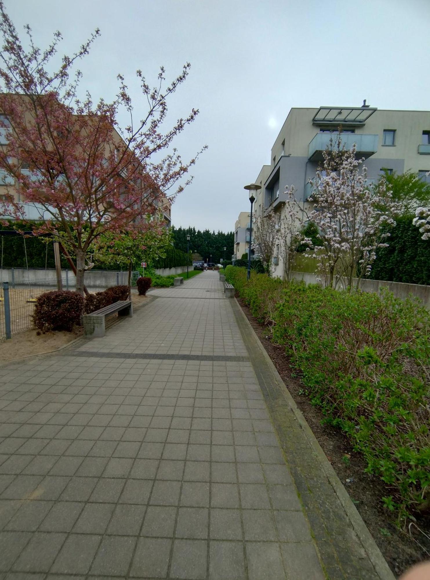 Apartament 1E Barbakan Szczecin Dış mekan fotoğraf
