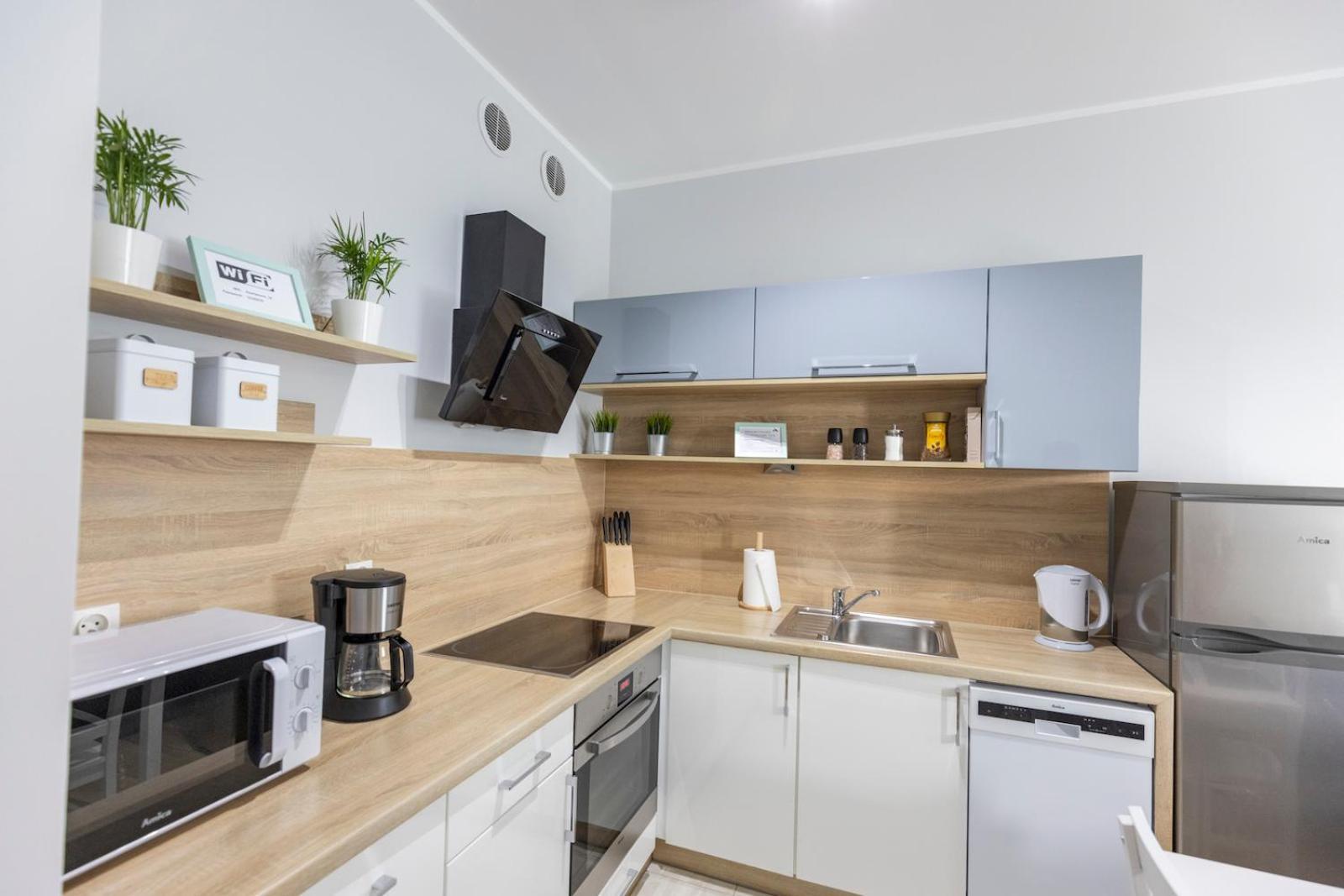 Apartament 1E Barbakan Szczecin Dış mekan fotoğraf